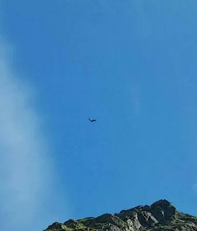 Cozy House - Stronstad @the Start Of Lofoten Tatil Evi