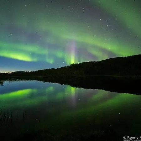Cozy House - Stronstad @the Start Of Lofoten Tatil Evi Stronstad i Vesteralen